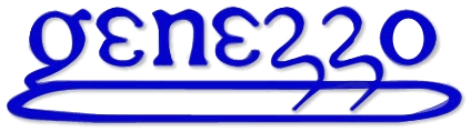 Genezzo Systems, Inc.